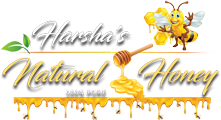hnh_logo